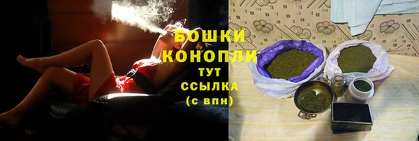 спиды Богданович