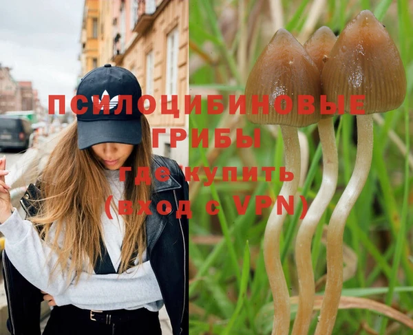 прущая мука Богородицк
