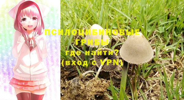эйфоретик Белокуриха