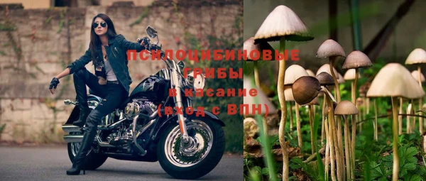 эйфоретик Белокуриха