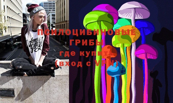 эйфоретик Белокуриха
