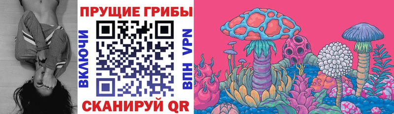 Галлюциногенные грибы GOLDEN TEACHER  blacksprut tor  Большой Камень  закладки 
